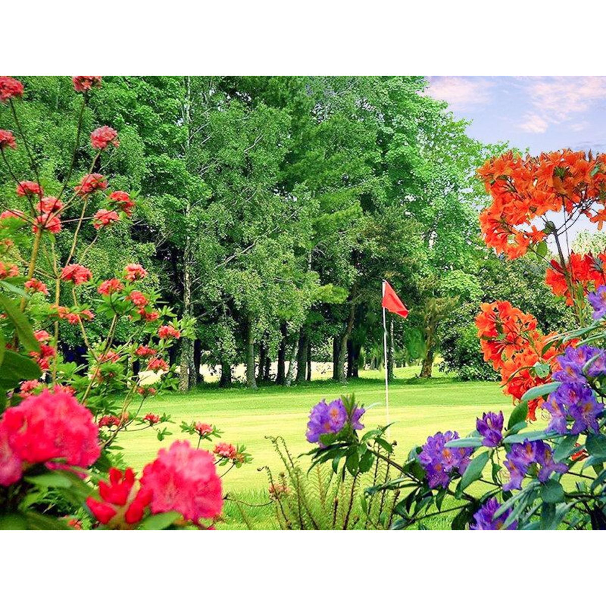 Smartbox Journée de golf et repas pour 2 en Île-de-France - Coffret Cadeau Sport & Aventure