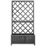 Voir la diapositive 2 : VIDAXL Jardiniere a treillis jardin Noir 70x30x135 cm Bois de sapin