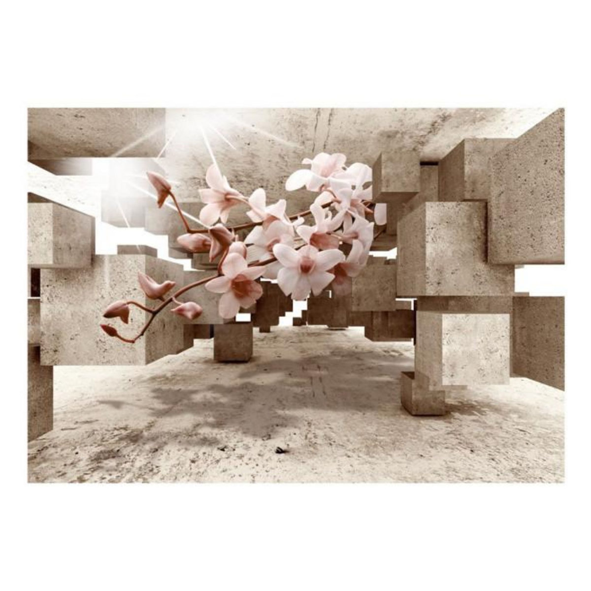 Paris Prix Papier Peint  Little Miracles