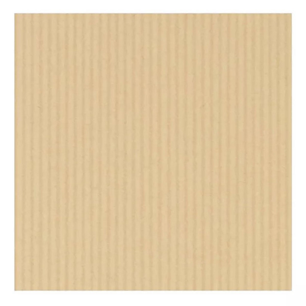 RAJA Pochette papier kraft avec fenêtre - 22.9 x 32.4 cm