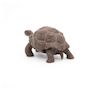Voir la diapositive 2 : Papo Tortue des galapagos  figurine