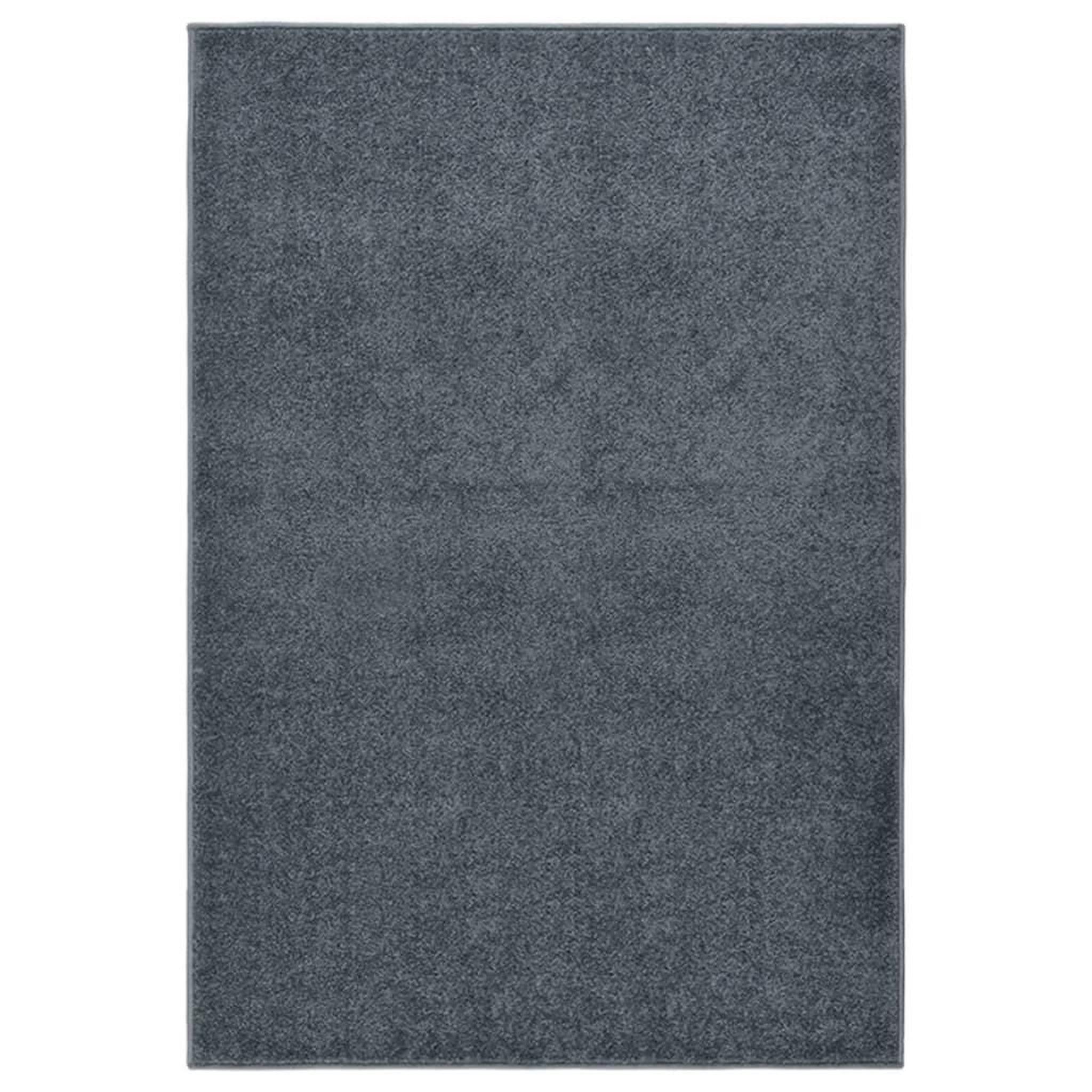 VIDAXL Tapis a poils courts 160x230 cm Anthracite