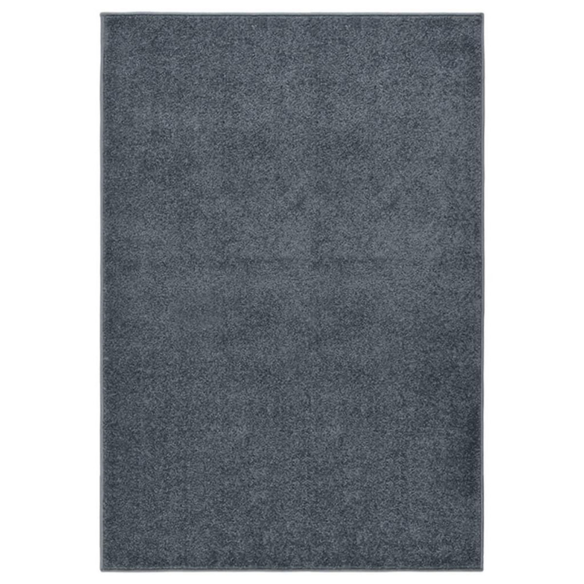 VIDAXL Tapis a poils courts 160x230 cm Anthracite