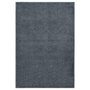 Voir la diapositive 1 : VIDAXL Tapis a poils courts 160x230 cm Anthracite