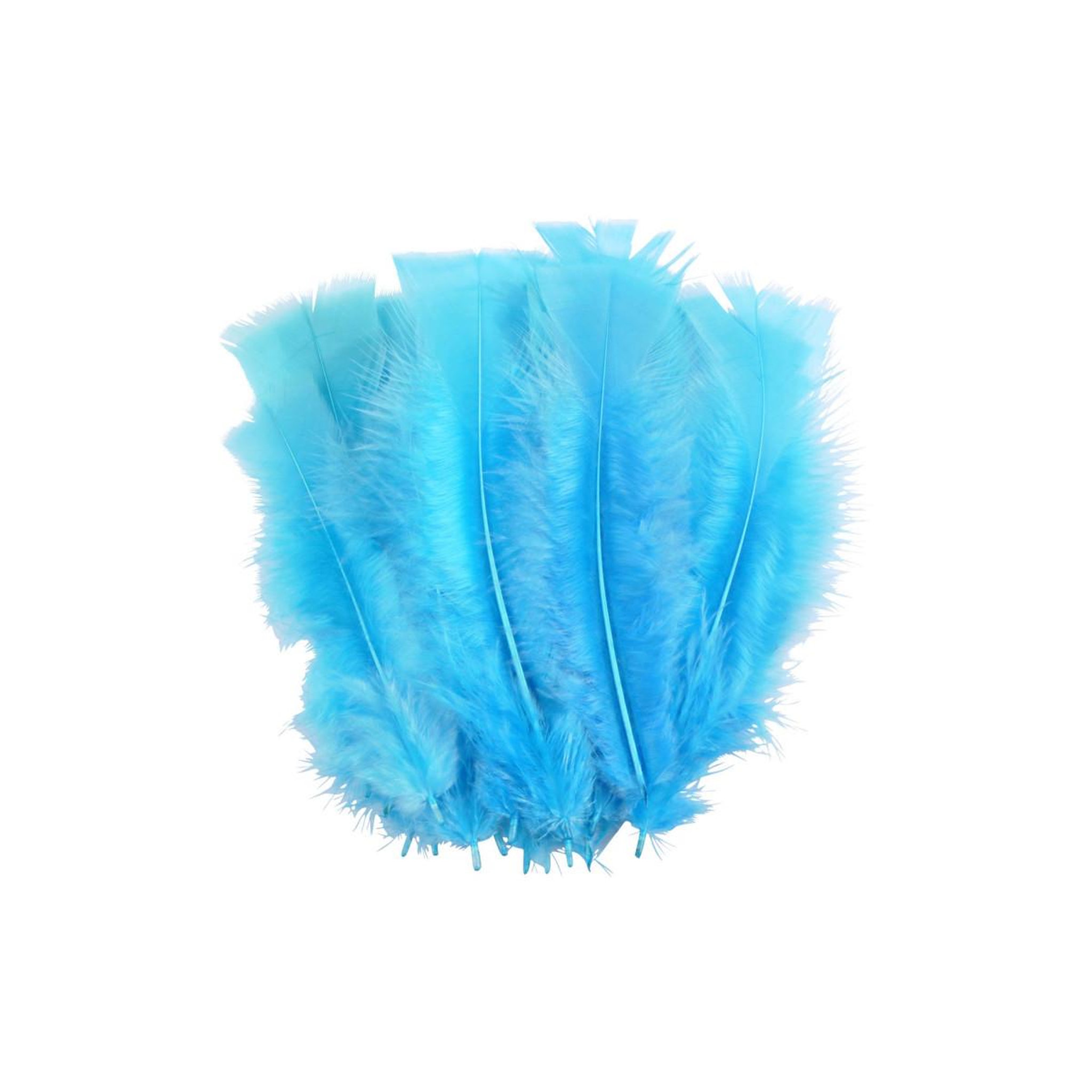 Voir la diapositive 2 : HOMEA Lot de 35 Plumes Décoratives  Sensa  16cm Turquoise