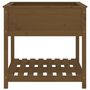 Voir la diapositive 5 : VIDAXL Jardiniere avec etagere Marron miel 82,5x82,5x81 cm Bois de pin