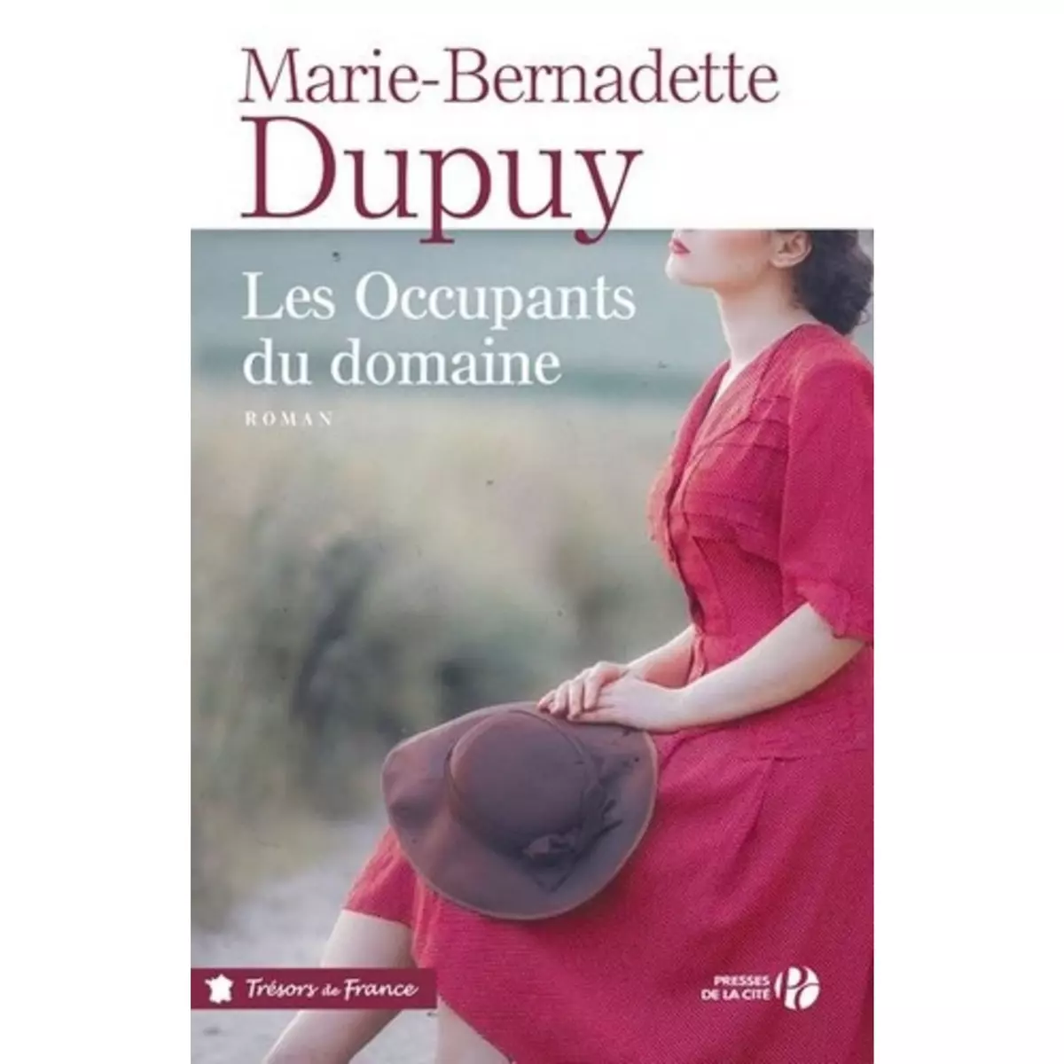  LE MOULIN DU LOUP TOME 6 : LES OCCUPANTS DU DOMAINE, Dupuy Marie-Bernadette