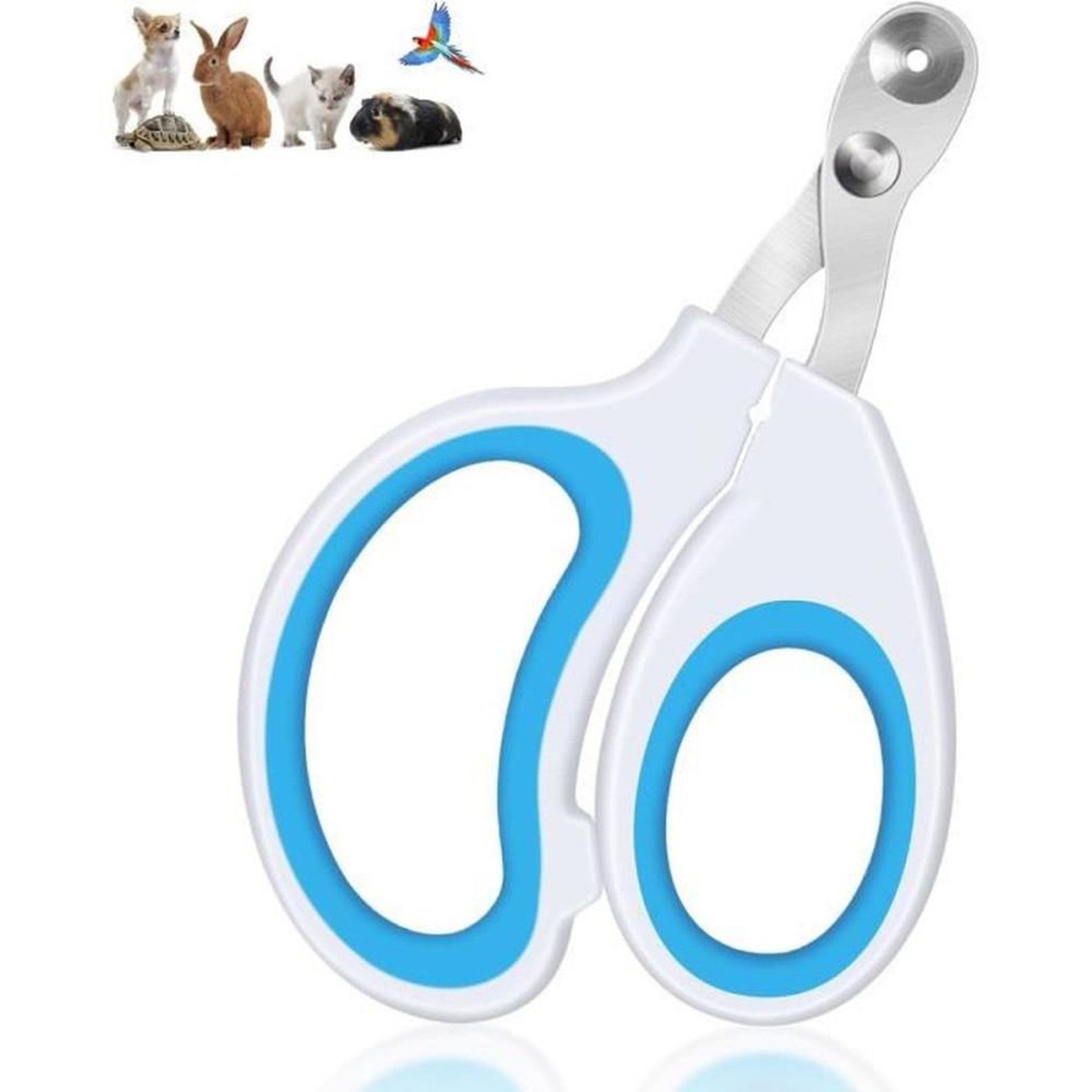 Coupe-ongles professionnel blanc avec trou de positionnement pour chats, petits chiens, lapins et chatons