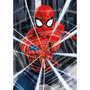 Voir la diapositive 1 : EDUCA Puzzle 500 pièces : Spider-Man