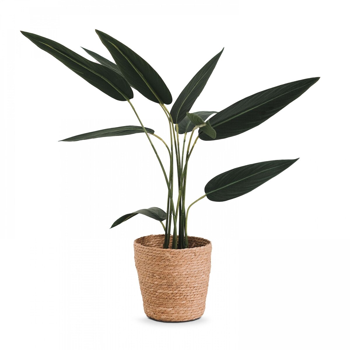 Strelitzia artificiel en pot hauteur 90 cm