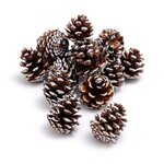 ACTUEL  SAC DE 15 POMMES DE PIN NATUREL 3CM 