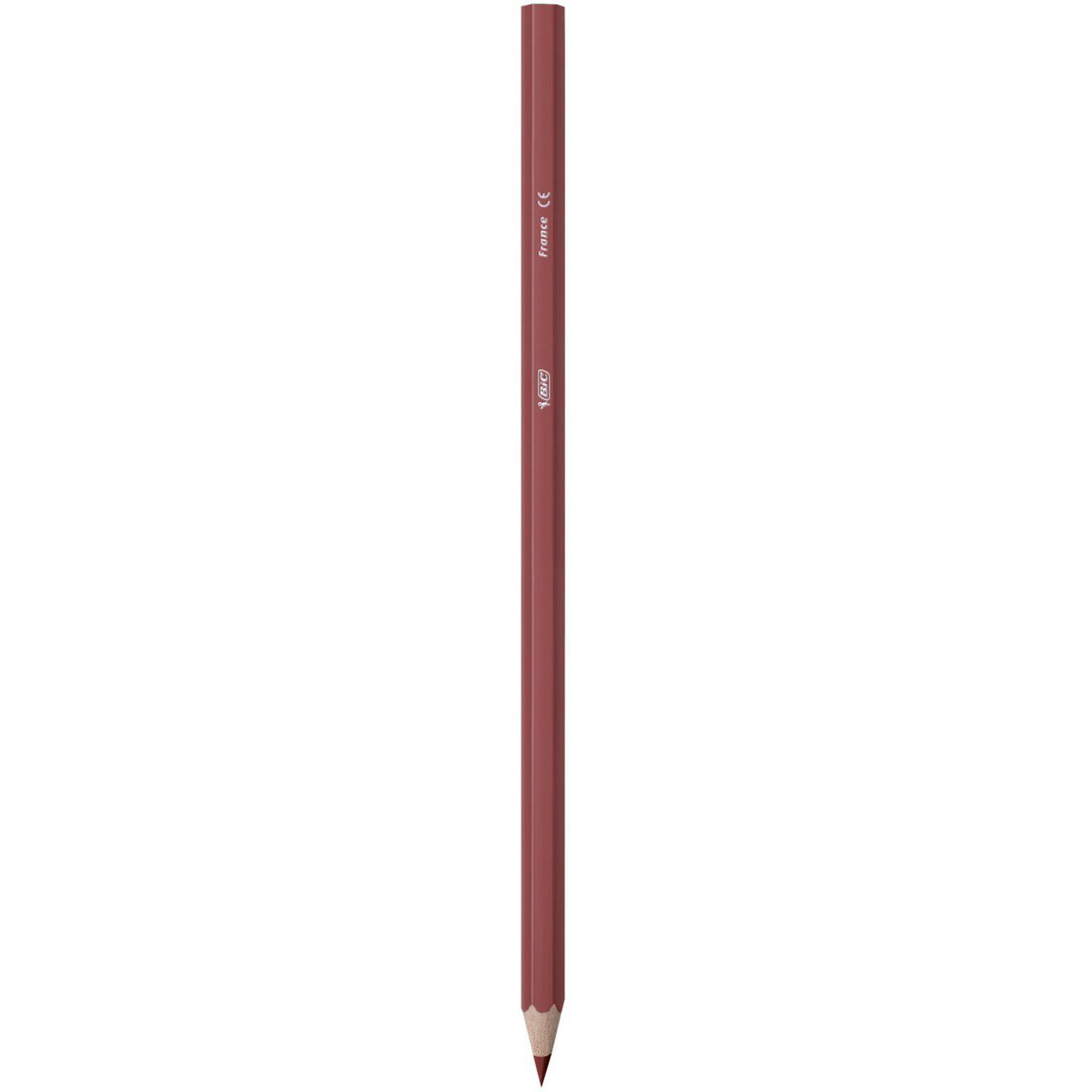 Voir la diapositive 6 : BIC Boîte de 18 crayons de couleur Kids Tropicolors