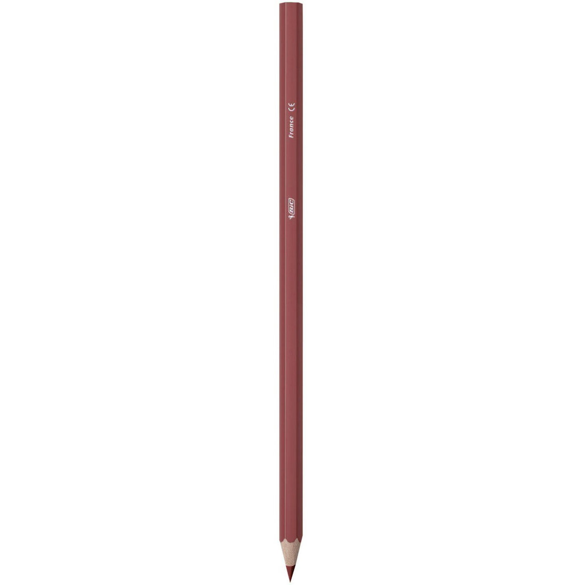 BIC Boîte de 18 crayons de couleur Kids Tropicolors