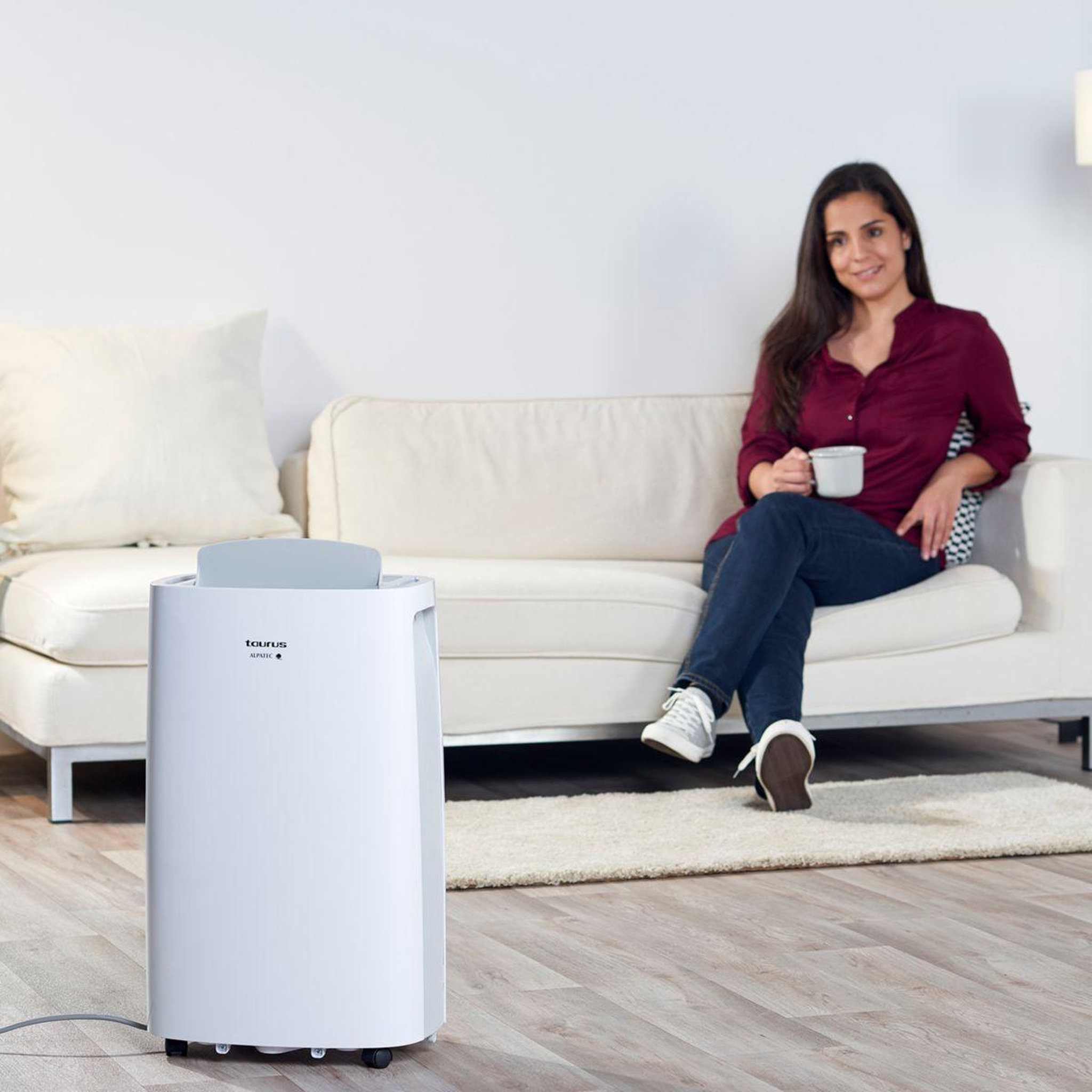 Voir la diapositive 4 : Taurus Deshumidificateur DH2201