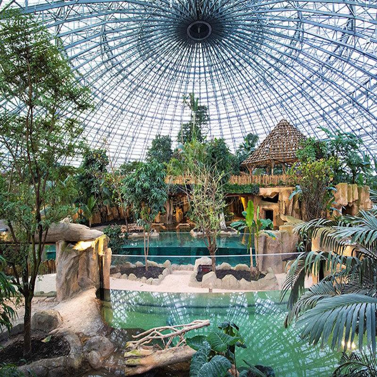 Smartbox Séjour au ZooParc de Beauval en 2026 : 2 journées et 1 nuit à proximité pour 2 adultes - Coffret Cadeau Multi-thèmes