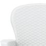 Voir la diapositive 5 : VIDAXL Chaise de jardin lot de 2 coussin Blanc Plastique Aspect rotin