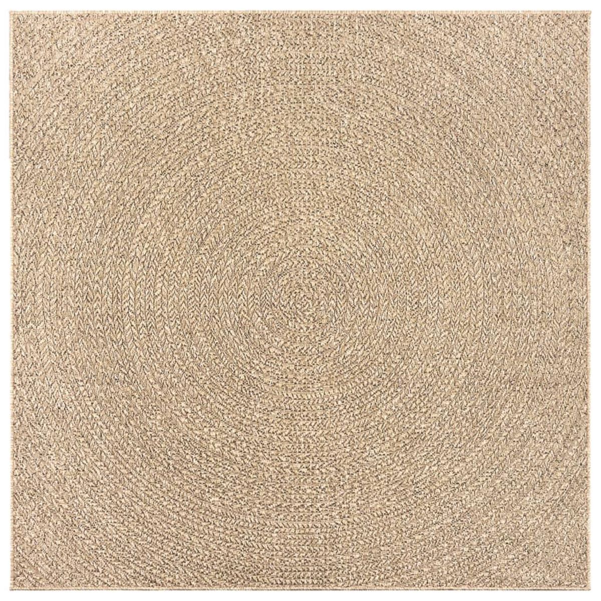 VIDAXL Tapis ZIZUR 200x200 cm aspect de jute interieur et exterieur