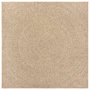 Voir la diapositive 4 : VIDAXL Tapis ZIZUR 200x200 cm aspect de jute interieur et exterieur