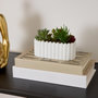 Voir la diapositive 2 : ATMOSPHERA Jardinière de Plantes Artificielles  Wida  15cm Blanc