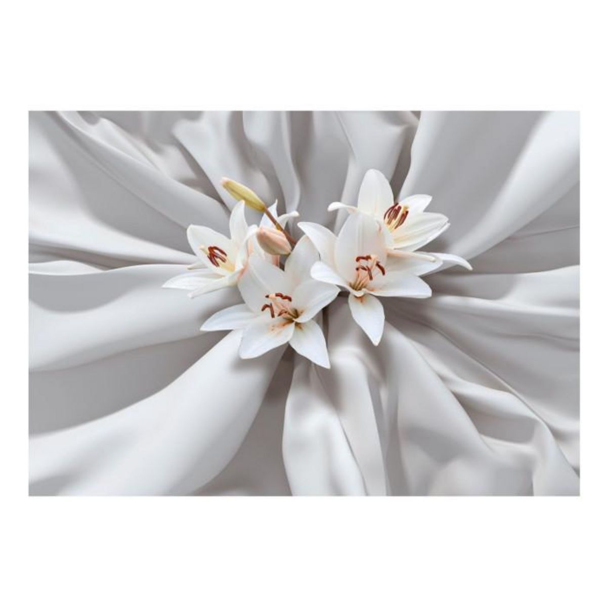 Paris Prix Papier Peint  Sensual Lilies