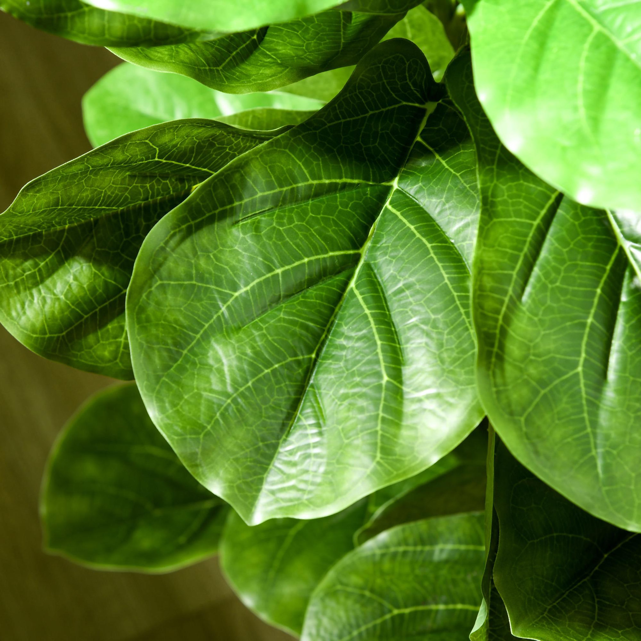 Voir la diapositive 5 : HOMCOM Ficus Lutea artificiels 1,10H m - lot de 2 ficus artificiels - 90 feuilles réalistes par pied - pot inclus noir vert