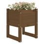 Voir la diapositive 3 : VIDAXL Jardiniere Marron miel 40x40x52,5 cm Bois massif de pin