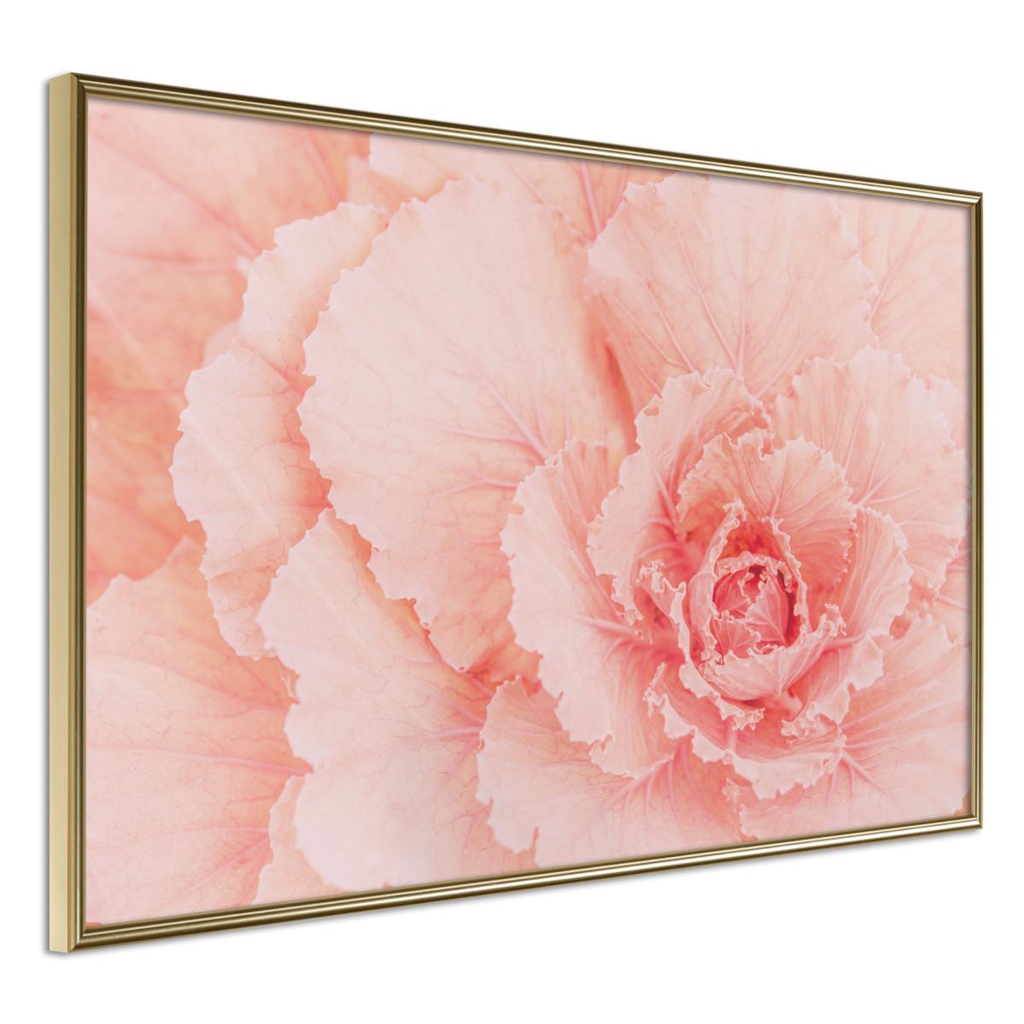 Voir la diapositive 1 : Paris Prix Affiche Murale Encadrée  Delicate Petals
