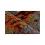 Voir la diapositive 3 : Paris Prix Tapis Tissé Imprimé à Motifs  Primavera III  Multicolore