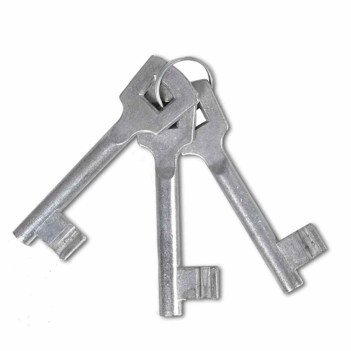 VIDAXL Portail de cloture a une porte 100x100 cm en acier thermolaque