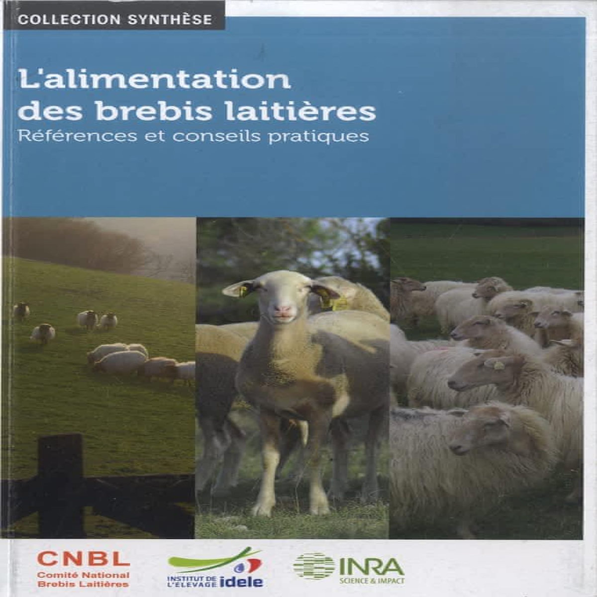 L'ALIMENTATION DES BREBIS LAITIERES. REFERENCES ET CONSEILS PRATIQUES, Groupe Alimentation du CNBL