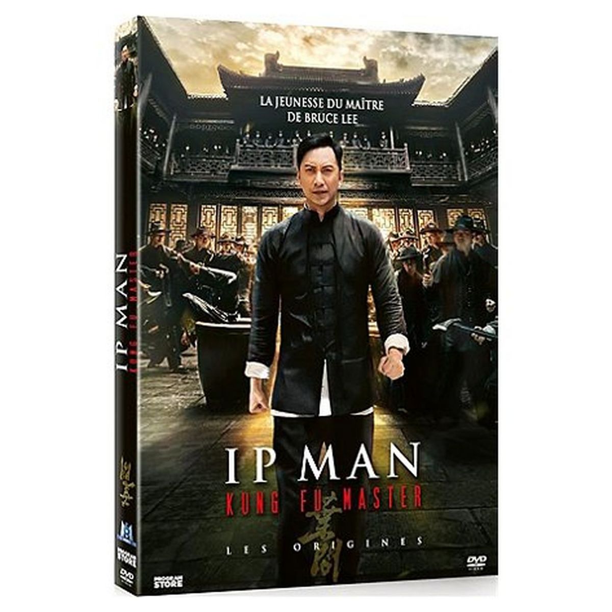 Ip Man Kung Fu Master DVD
