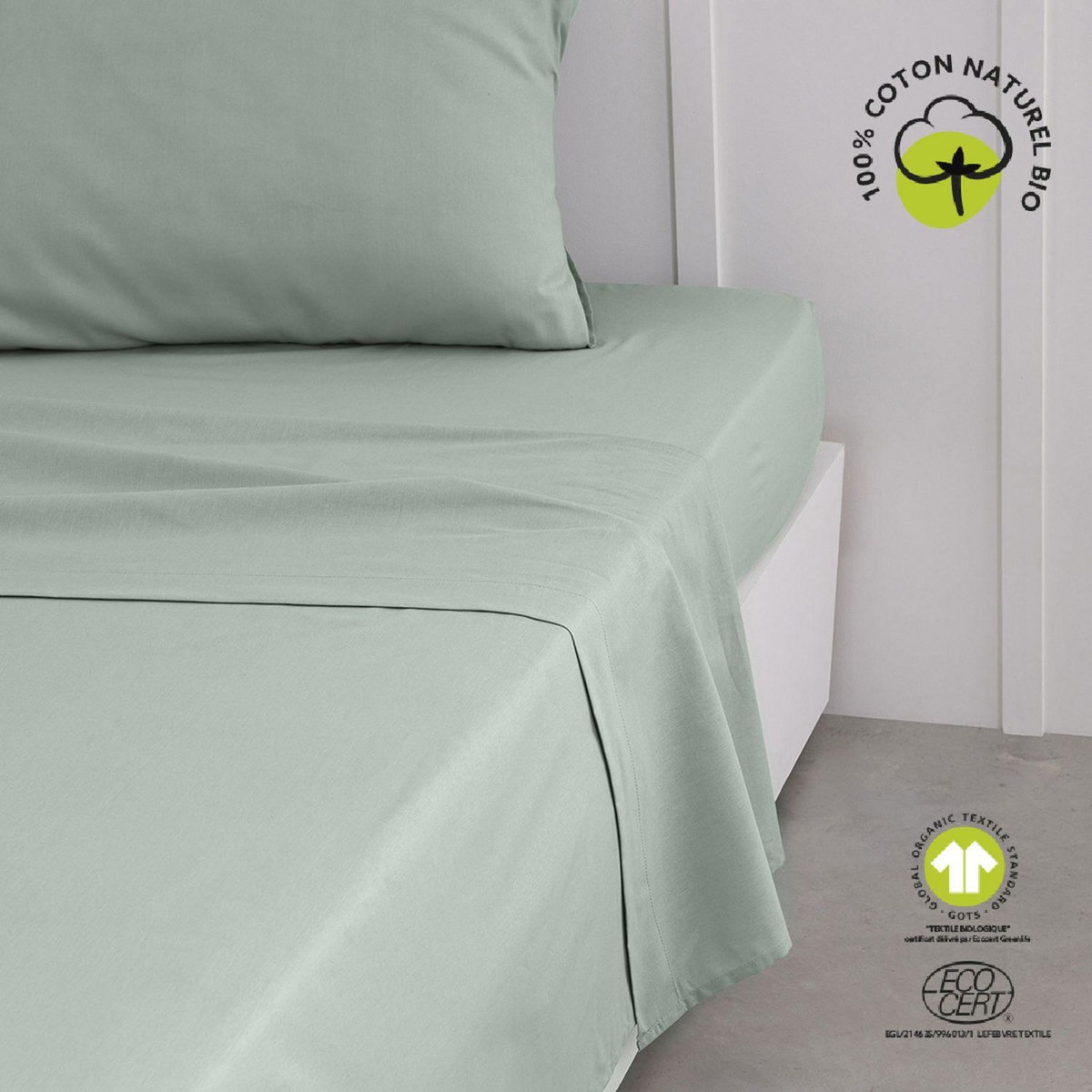 Today Drap plat - 100% coton BIO