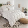 Voir la diapositive 1 : DODO Couette Tradition LEGERE - 70% Duvet d'Oie