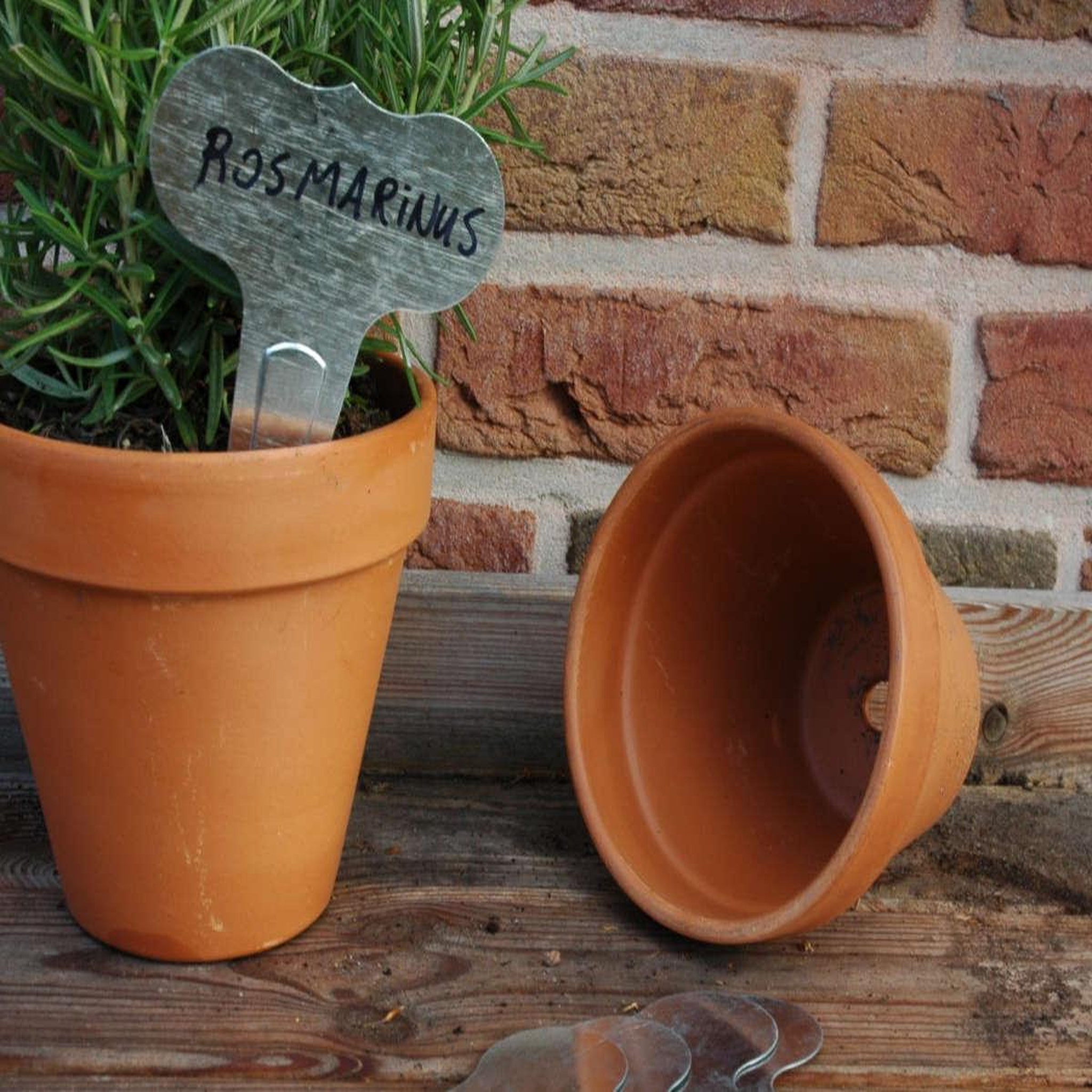 Voir la diapositive 4 : ESSCHERT DESIGN 6 marqueurs de plantes en zinc avec feutre - esschert design