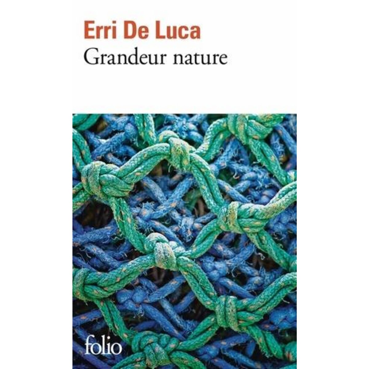 GRANDEUR NATURE, De Luca Erri
