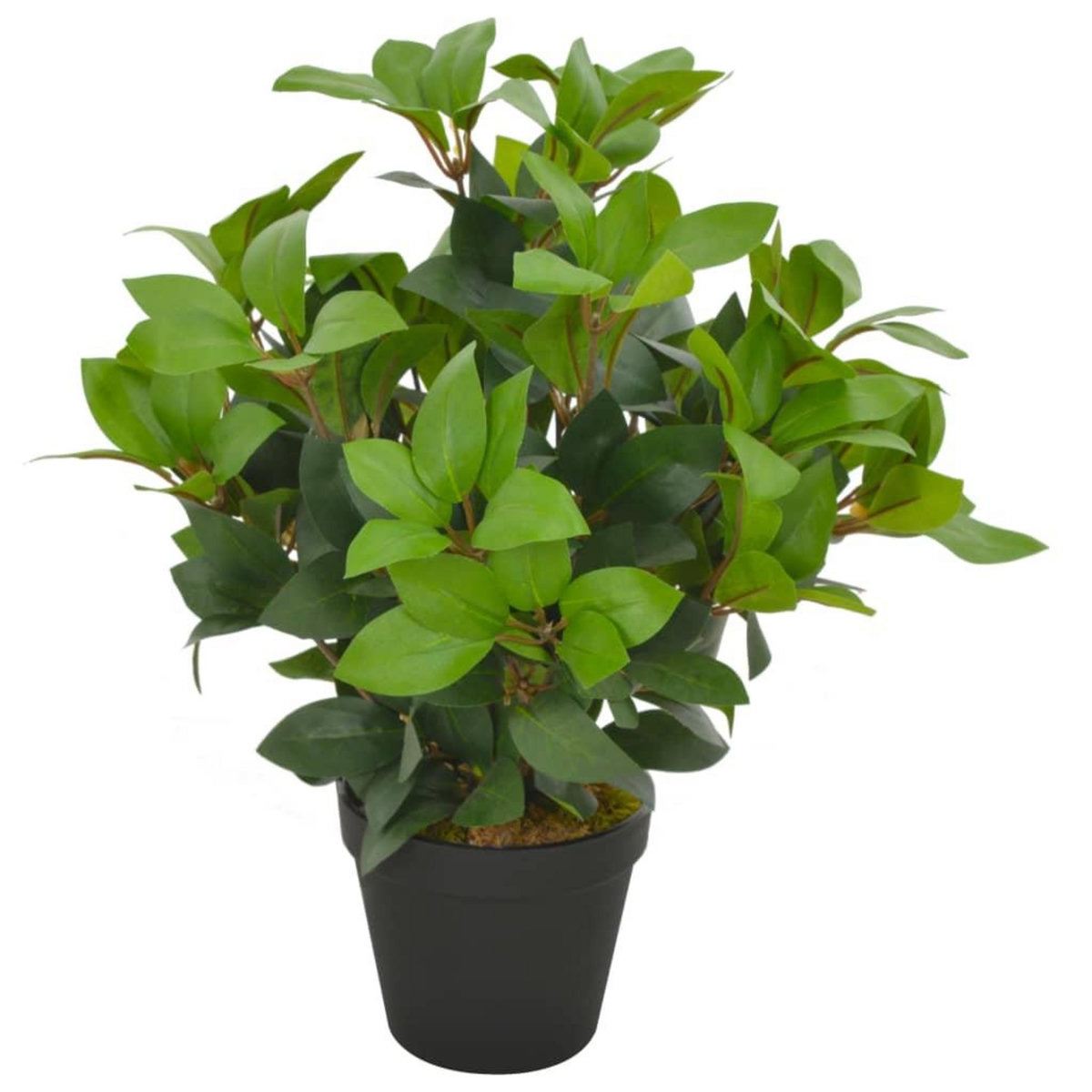 VIDAXL Plante artificielle avec pot Laurier Vert 40 cm