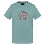 Schott T Shirt  Garçon Schott Print. Coloris disponibles : Vert