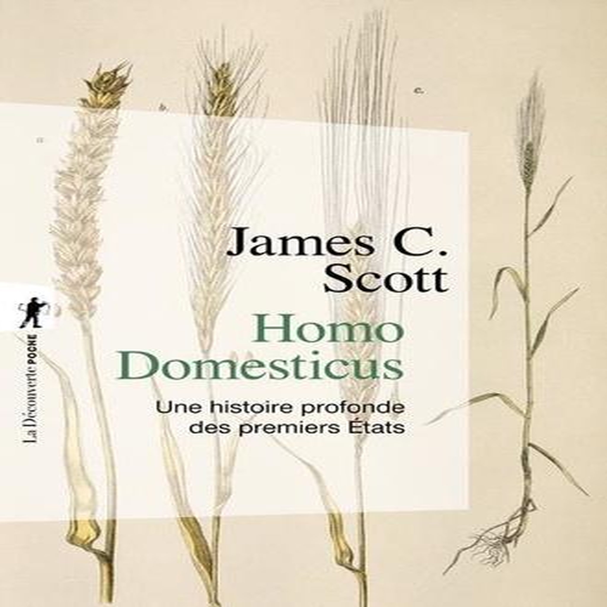HOMO DOMESTICUS. UNE HISTOIRE PROFONDE DES PREMIERS ETATS, Scott James C.