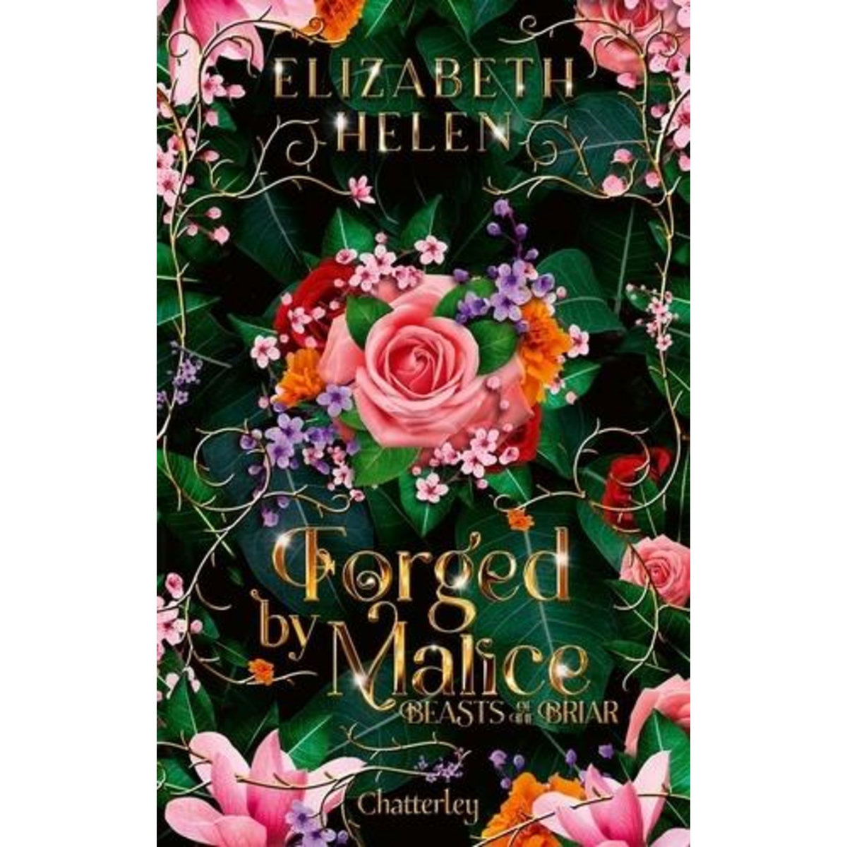 BEASTS OF THE BRIAR TOME 3 : FORGED BY MALICE, Helen Elizabeth