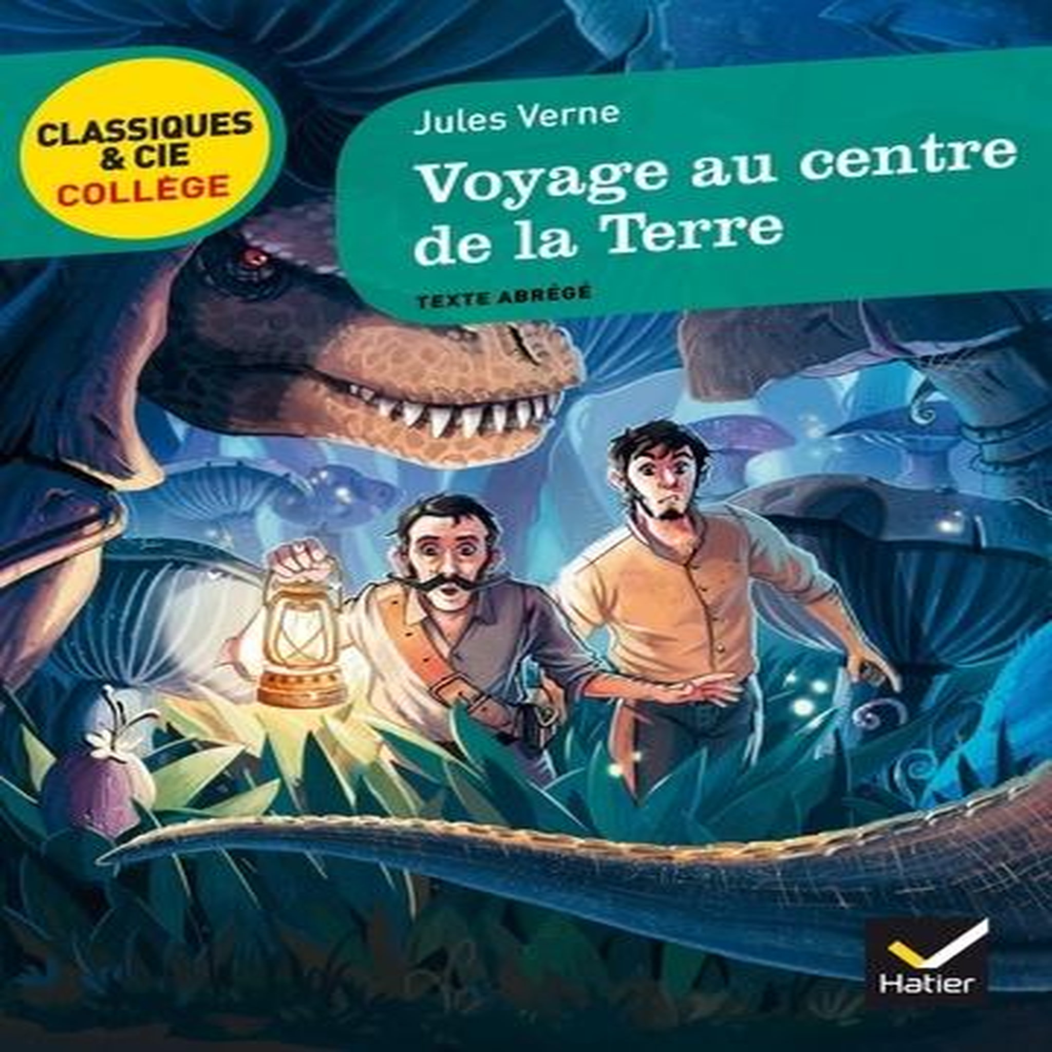 VOYAGE AU CENTRE DE LA TERRE. TEXTE ABREGE, Verne Jules