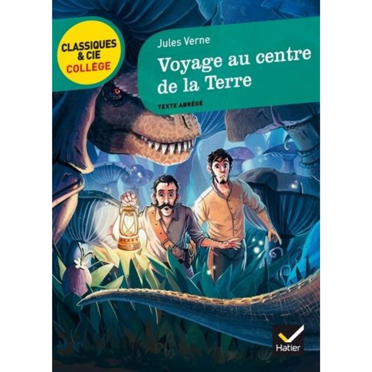 VOYAGE AU CENTRE DE LA TERRE. TEXTE ABREGE, Verne Jules