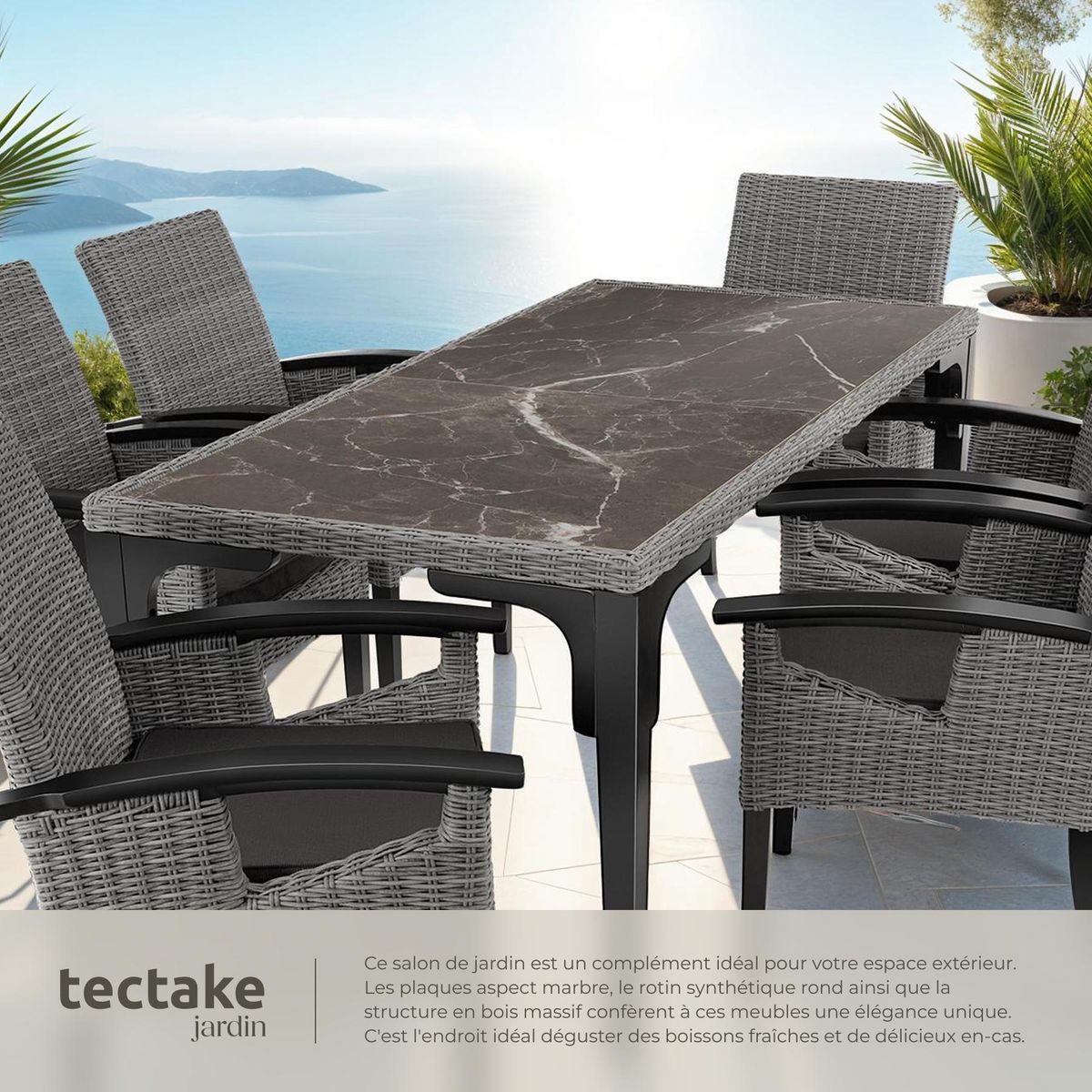 tectake Ensemble table en rotin avec 6 chaises avec cadre solide gris