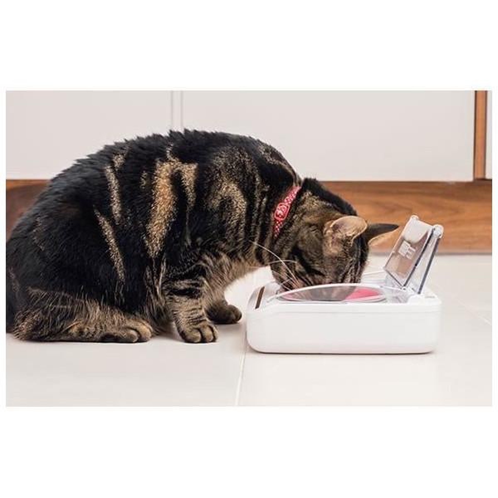 Voir la diapositive 6 : Pet Safe Surefeed distributeur de nourriture automatique pour chat anti-odeur - blanc (livré avec un bol simple)