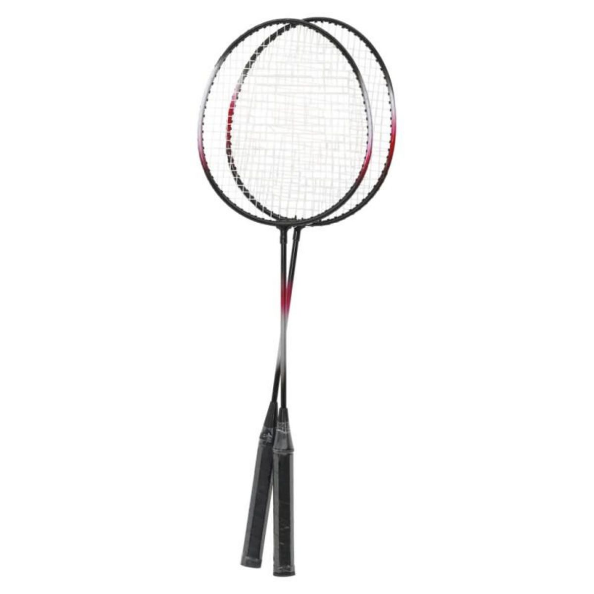 VIDAXL Set de Badminton avec 2 raquettes, filet et coffret rangement