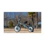 Voir la diapositive 4 : INTERBABY Tricycle 5 En 1 Mod. Rapit Rose
