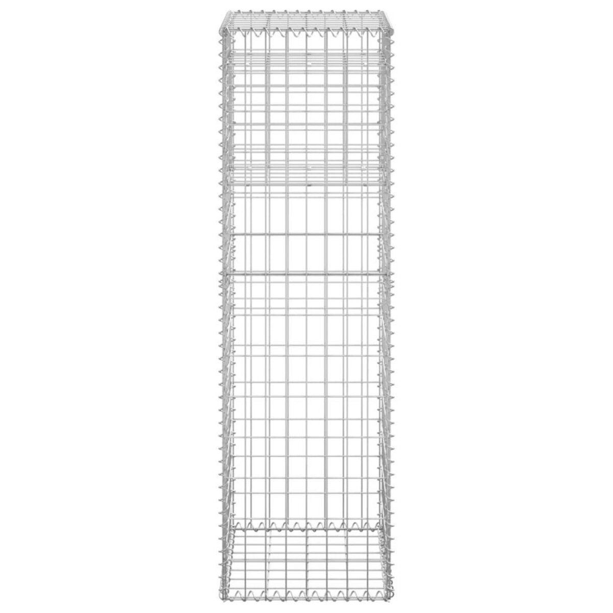 VIDAXL Poteaux a panier de gabion 2 pcs 40x40x140 cm Fer