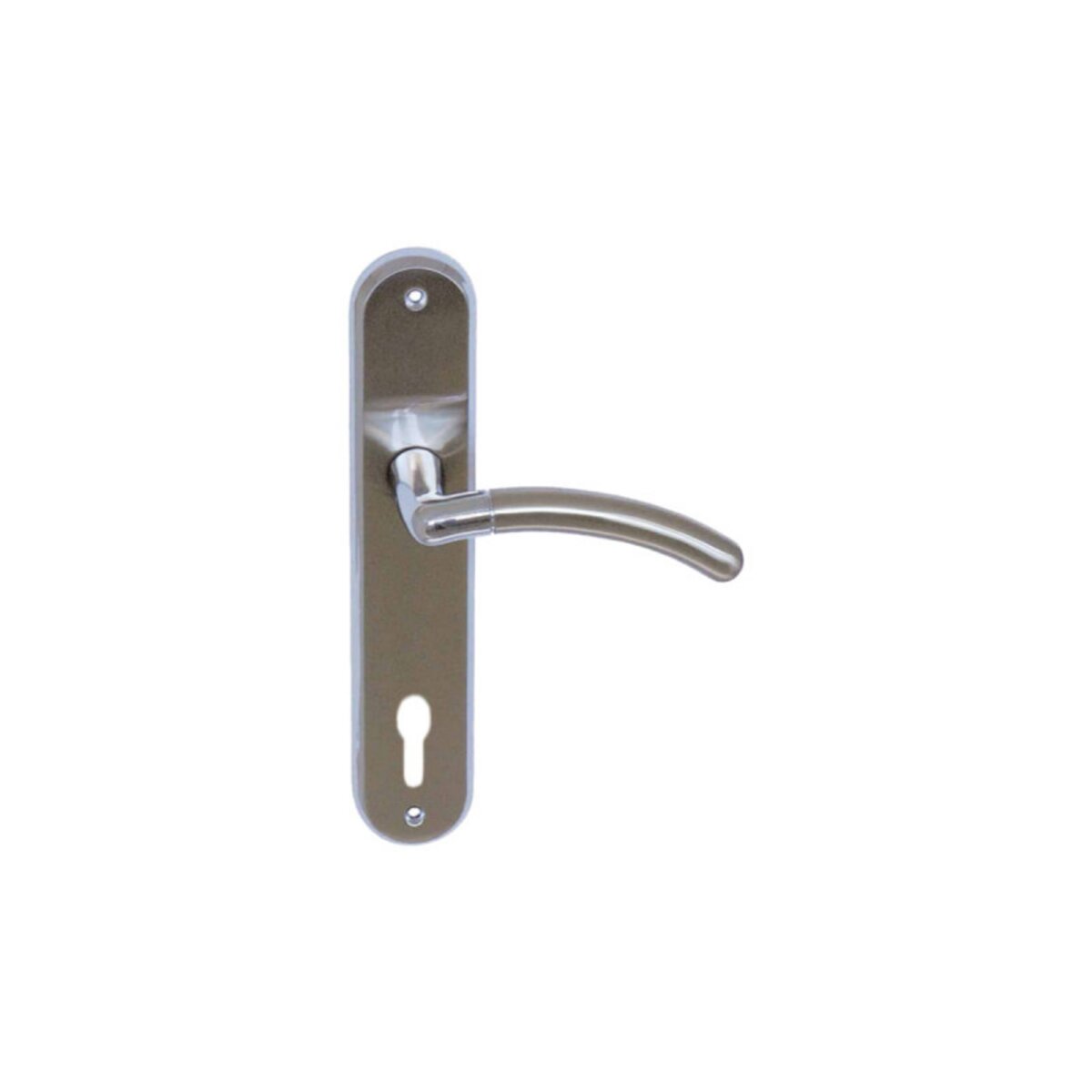 ESPACE-BRICOLAGE Poignée de porte sur plaque à clé classique modèle Cordouan - Nickelé Mat