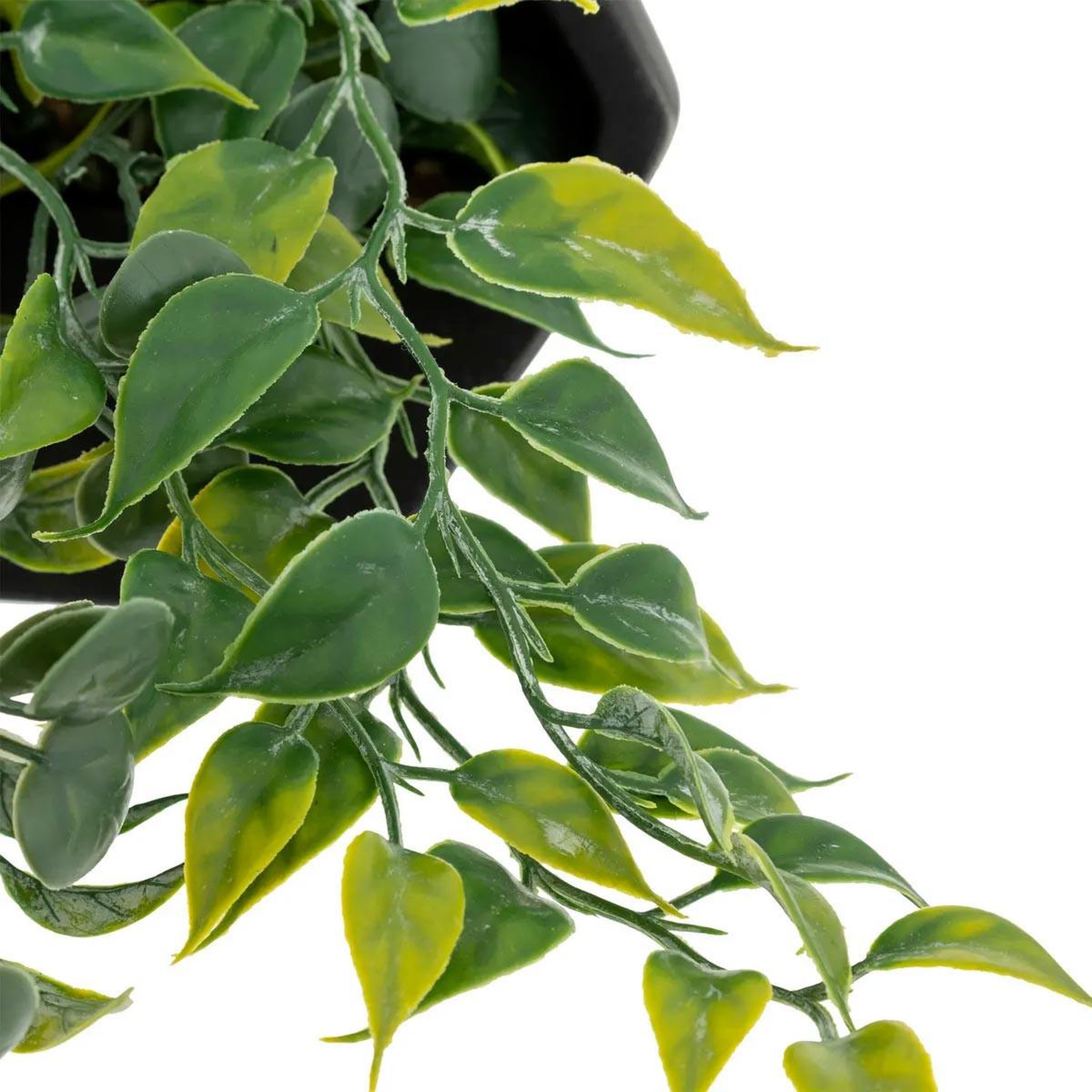 Voir la diapositive 2 : ATMOSPHERA Plante artificielle à suspendre  ayame  45cm noir