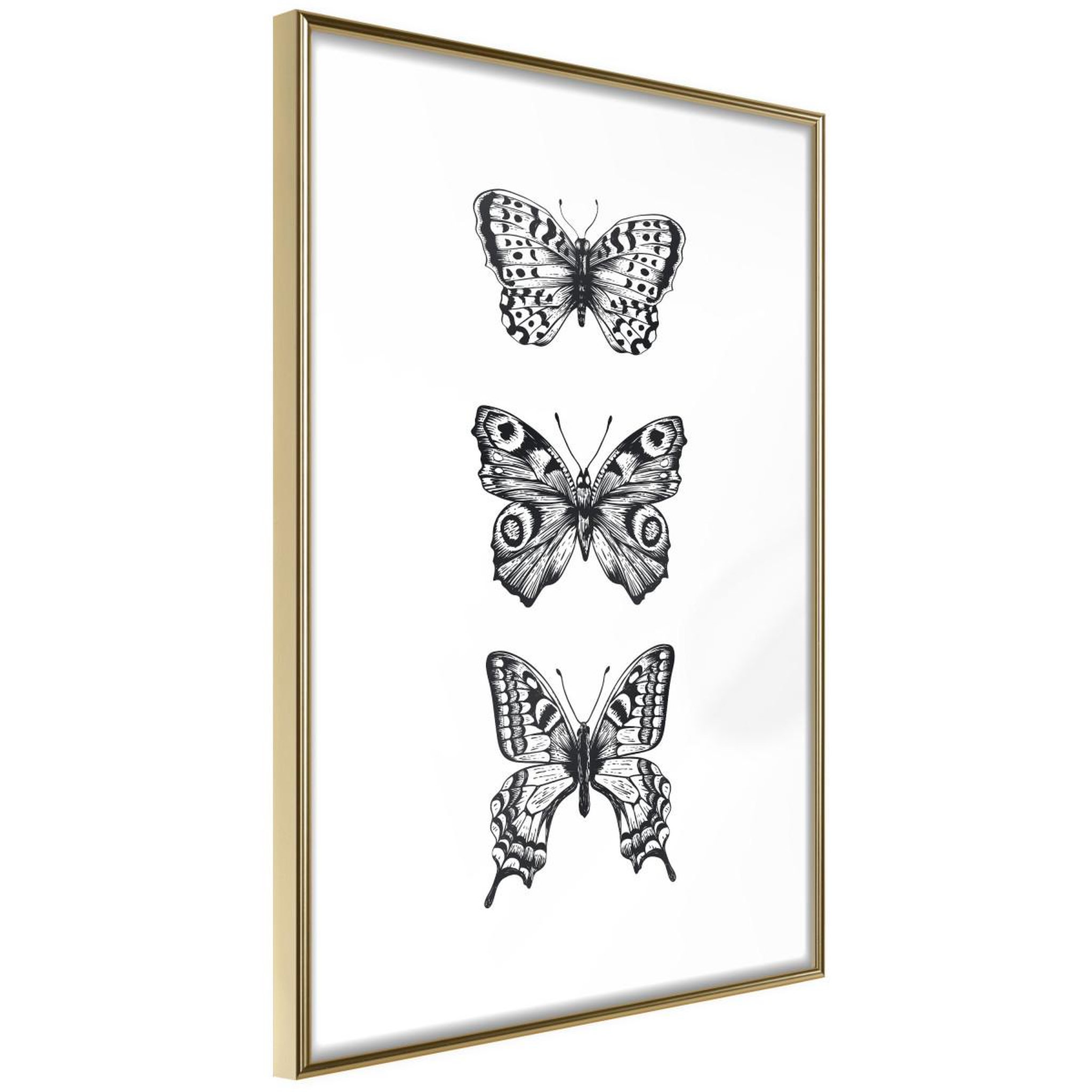 Voir la diapositive 1 : Paris Prix Affiche murale encadrée  butterfly collection iii