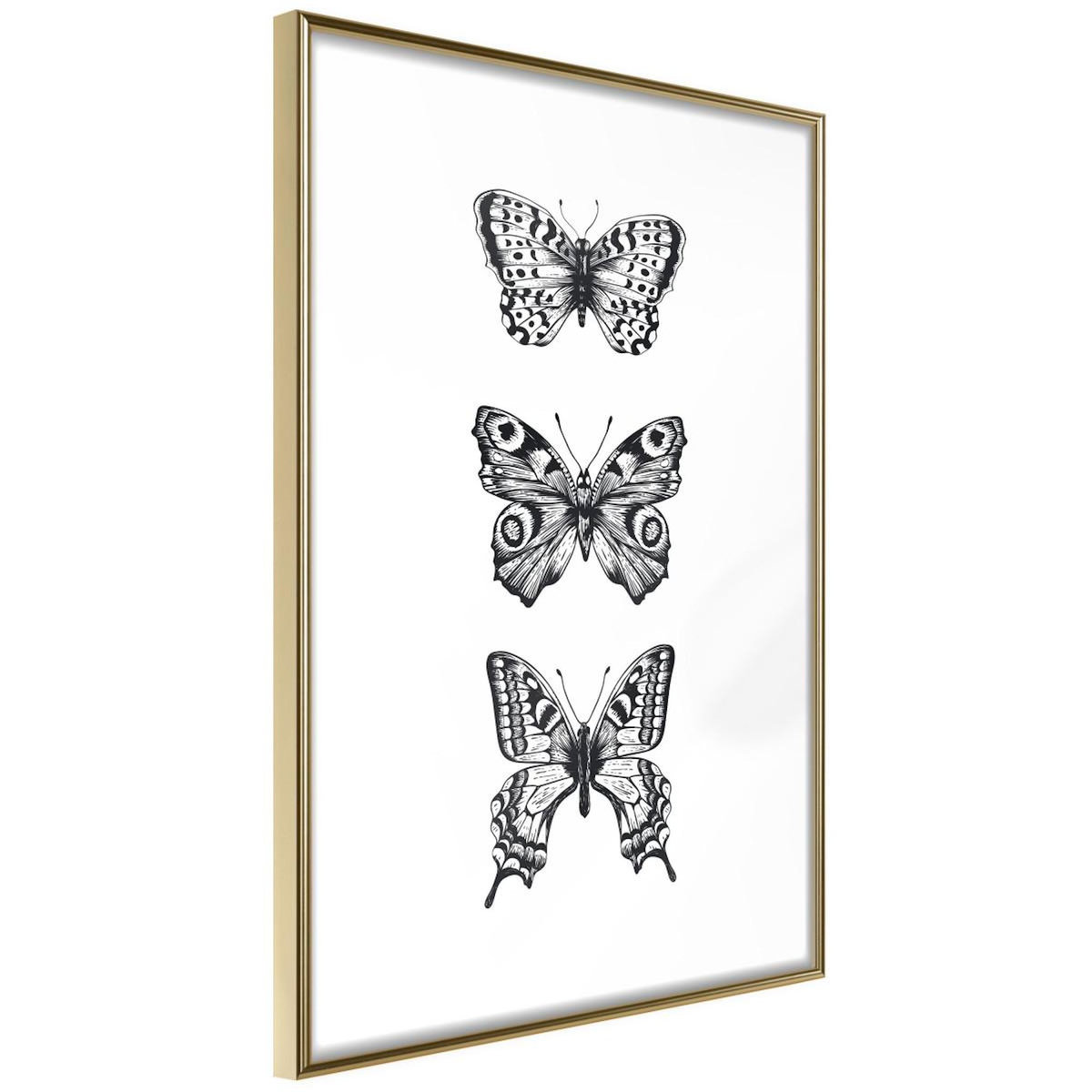Paris Prix Affiche Murale Encadrée  Butterfly Collection III